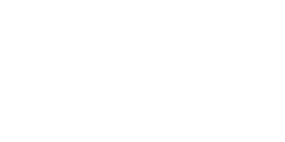 seagull-logo